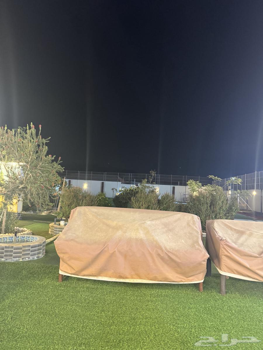 Palm Rest House for daily rent62884384387203112