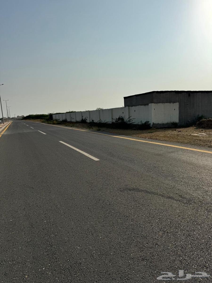 Horse for rent in Jazan city, has accommodation, water and electricity63009169187330111