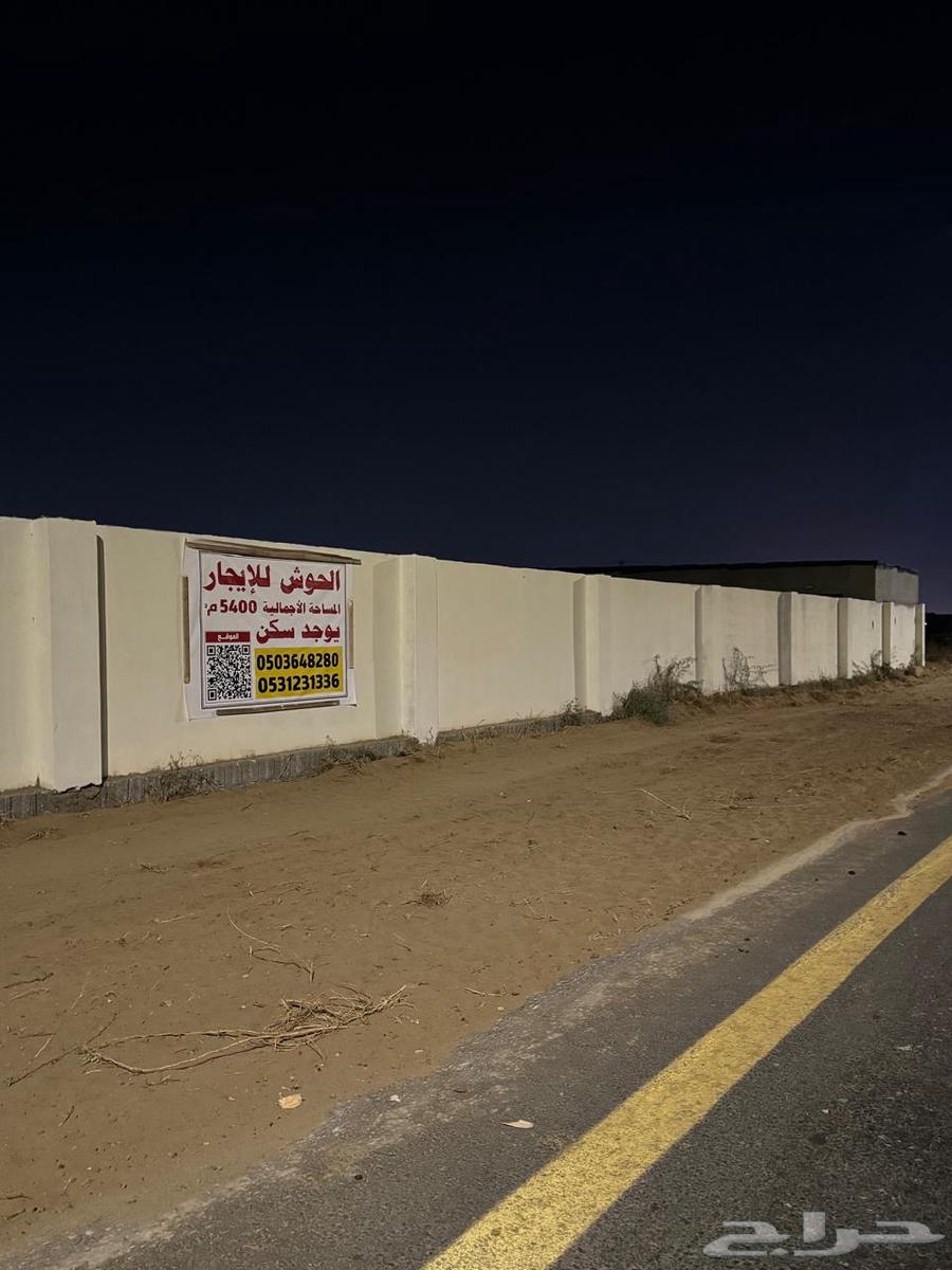 Horse for rent in Jazan city, has accommodation, water and electricity630091691873301115