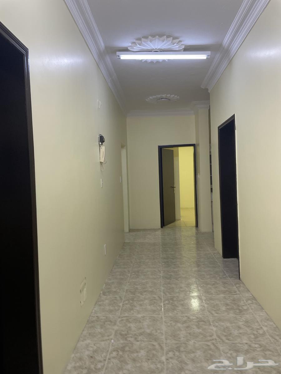 Big role for rent62884387076482114