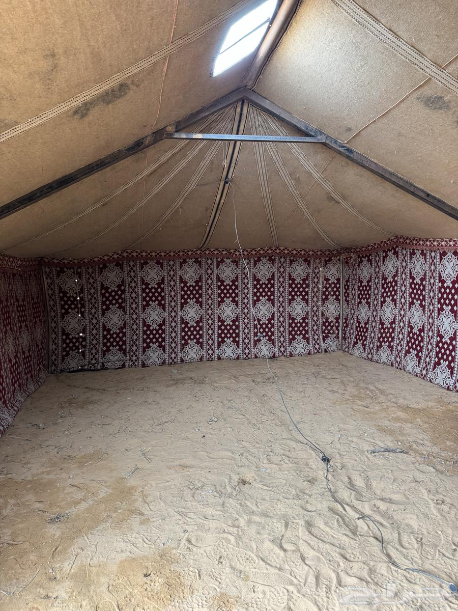 White tent equipment 6 by 13 and white tent 6 by 1163190349480194114