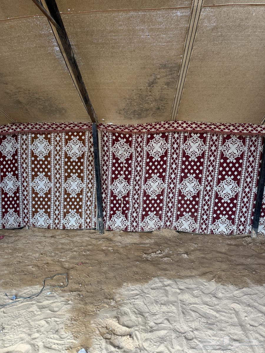 White tent equipment 6 by 13 and white tent 6 by 1163190349480194113