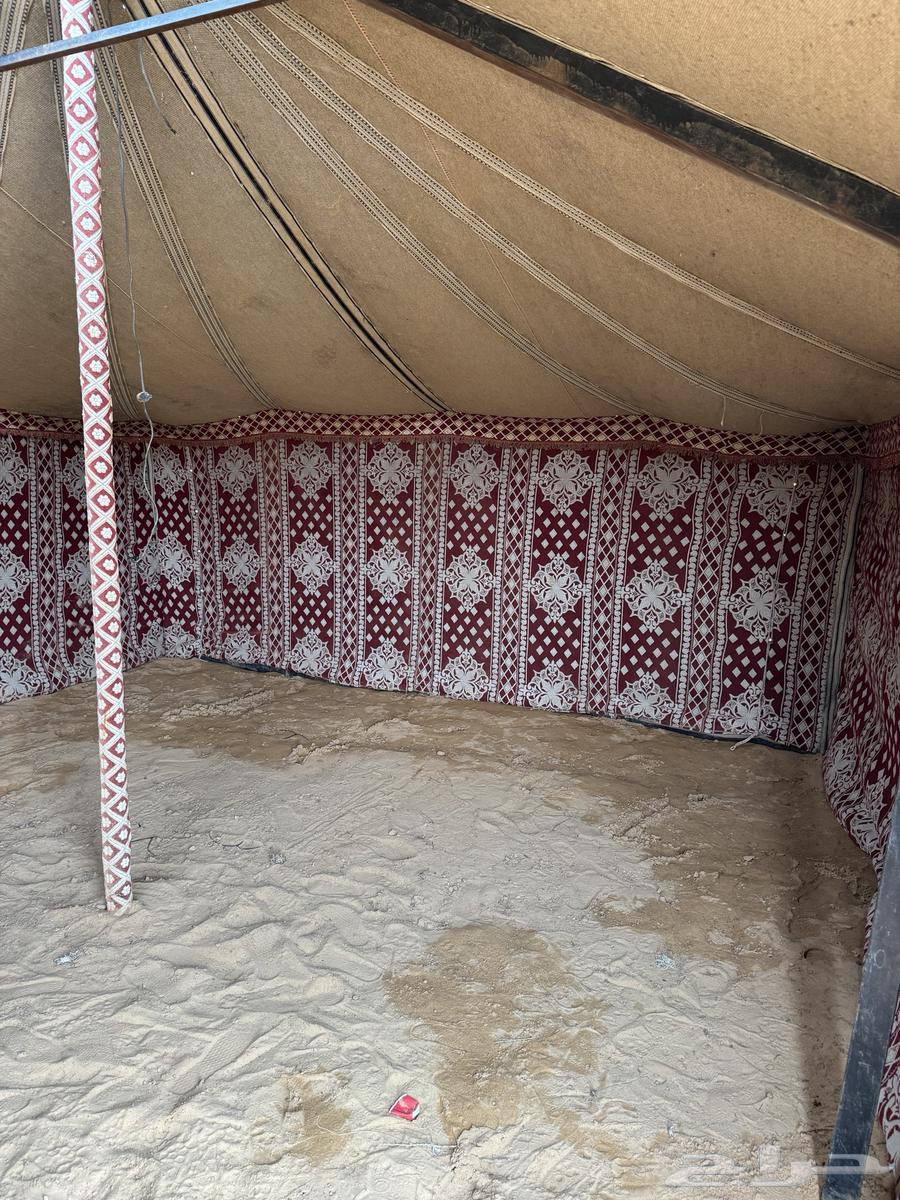 White tent equipment 6 by 13 and white tent 6 by 1163190349480194112