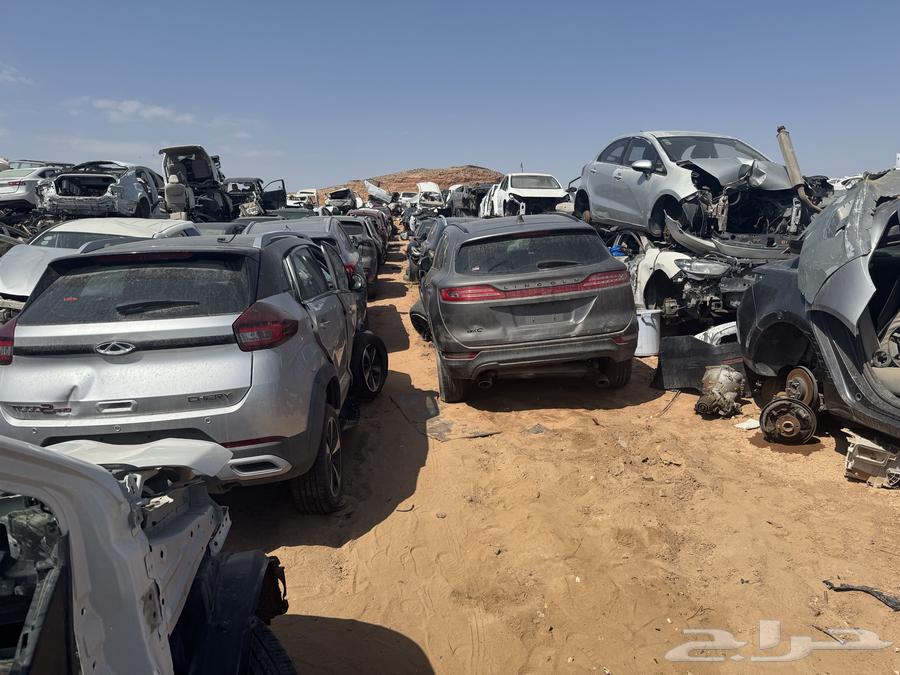 شيري تيجو 263290542400131112