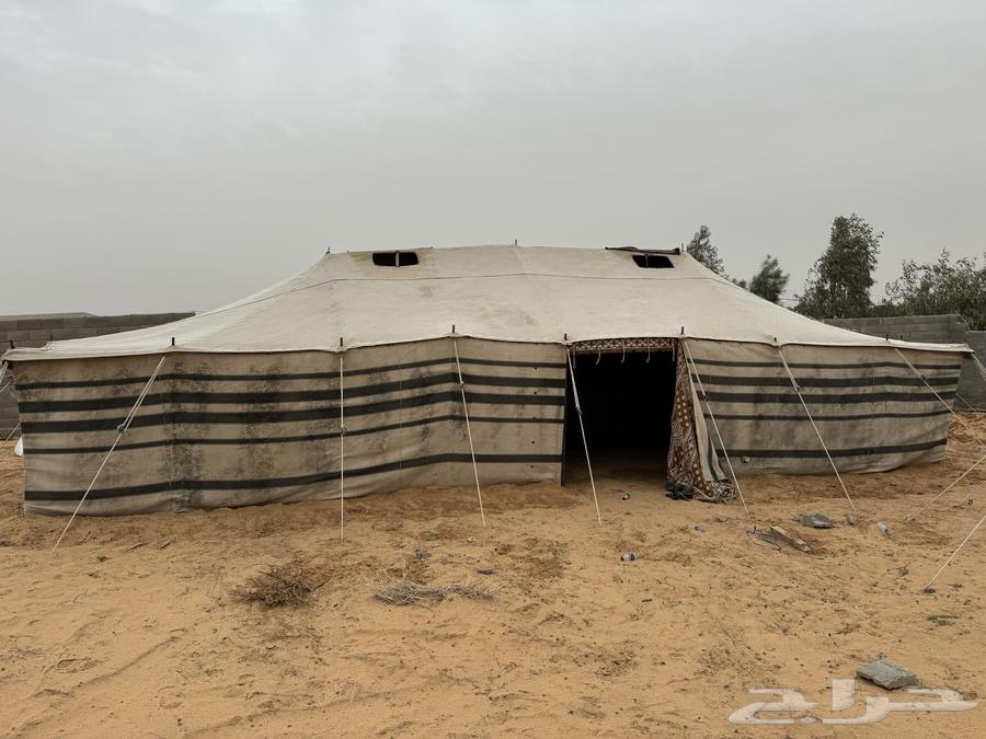 White tent equipment 6 by 13 and white tent 6 by 1163190349480194111