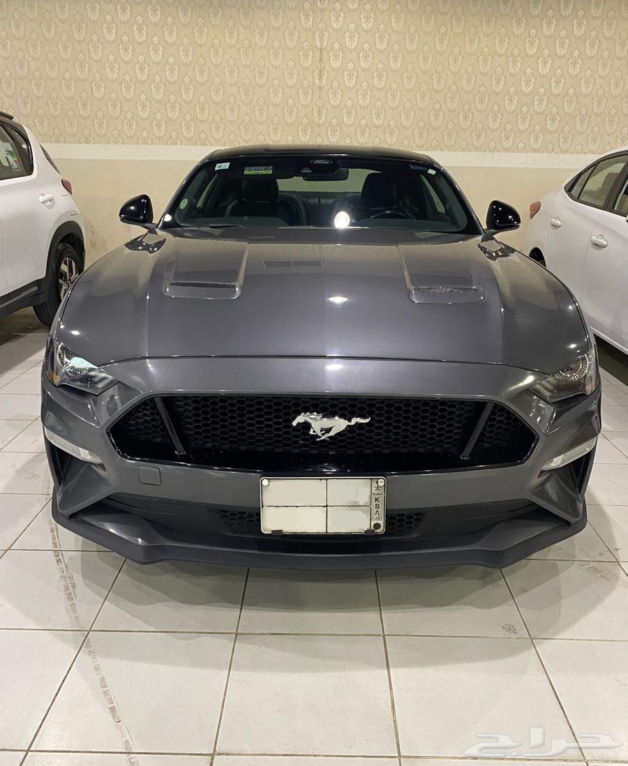 موستنج GT 5.0 8 سلندر للايجار632810482986271117