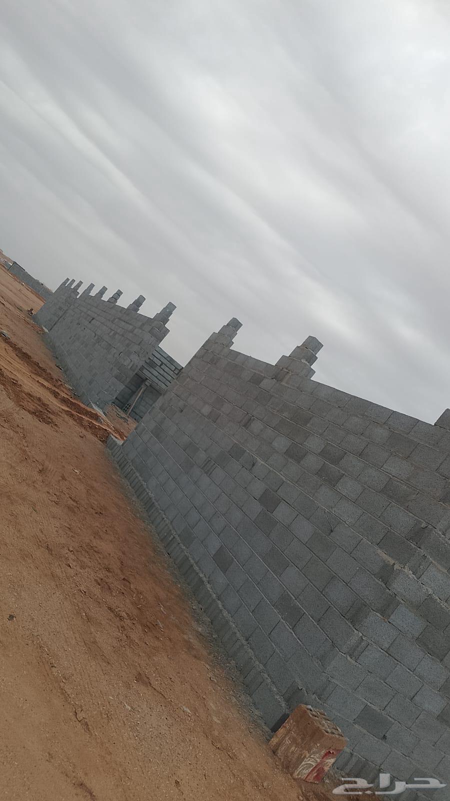 Horse for rent, Al-Munshah East, Riyadh 313562884389827715111