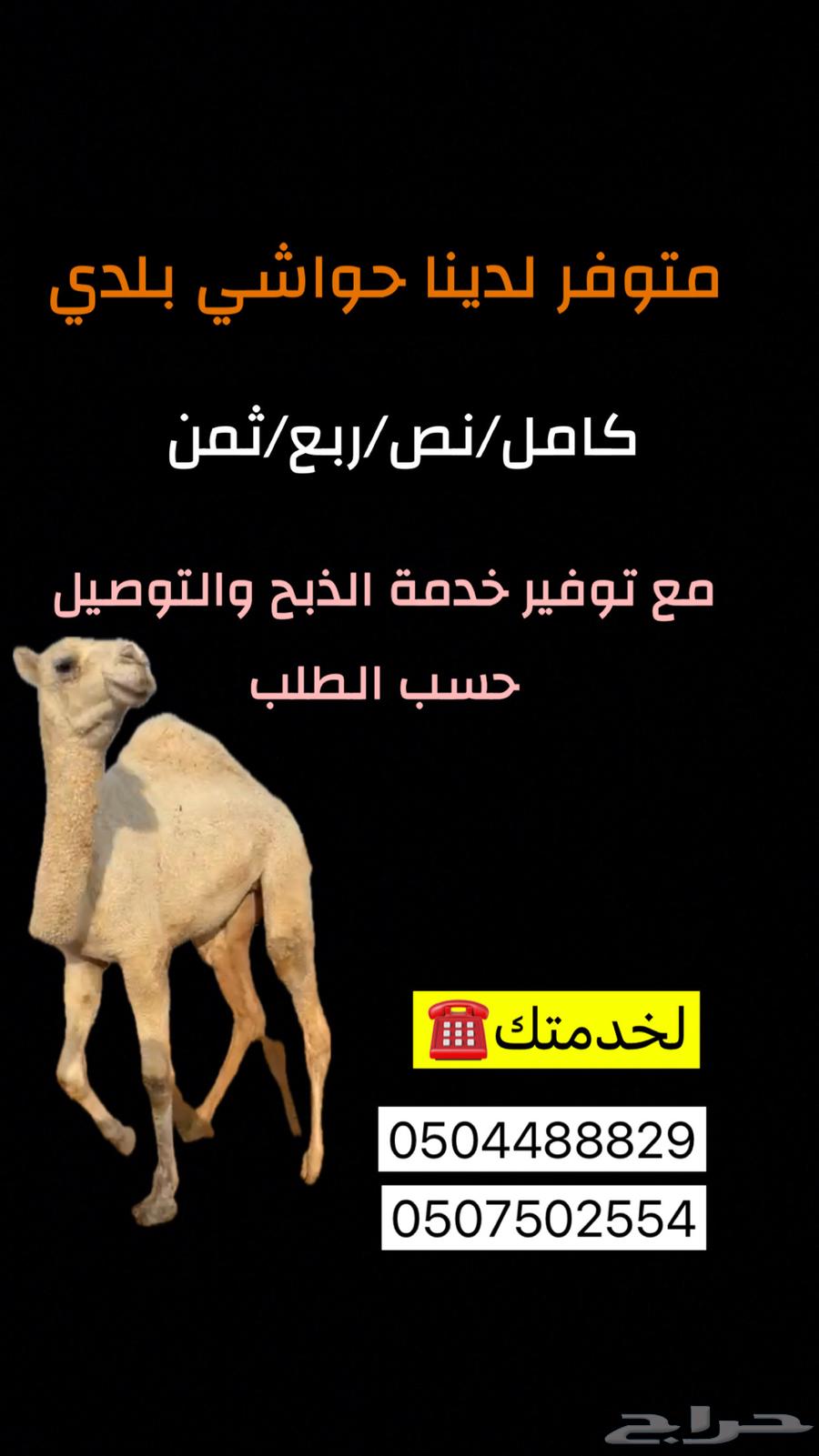 ذبايح رمضان63184963284993113
