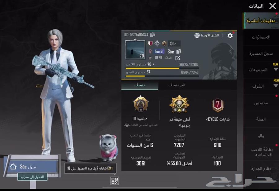 PUBG account for sale631854784001291117
