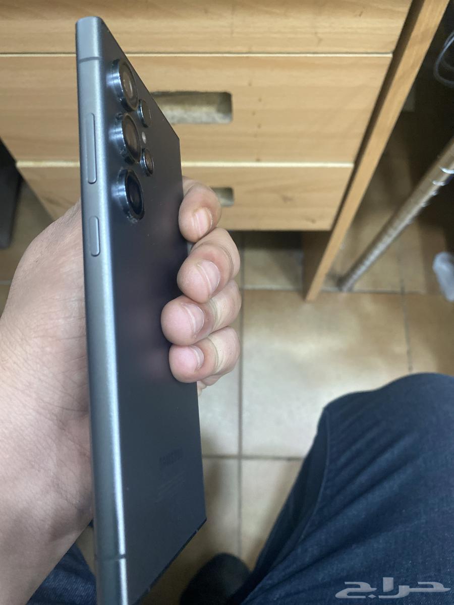 فلامنجو بارك63184461554435112
