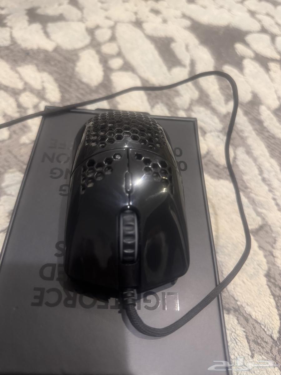 ماوس قلوريوس63186499708418111