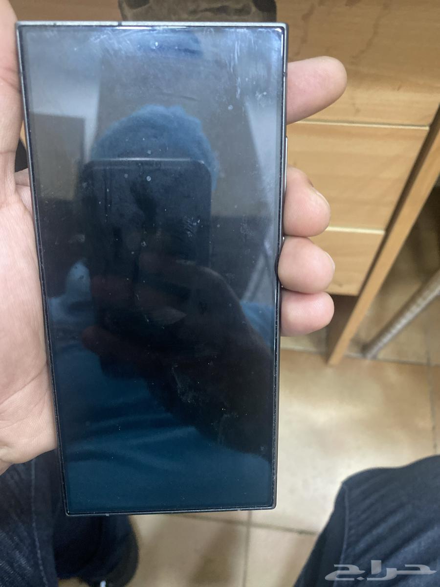 فلامنجو بارك63184461554435111