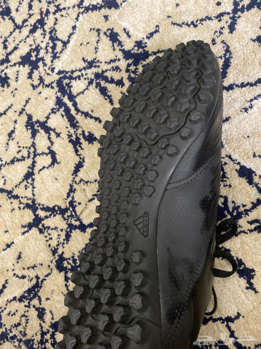 shoe63184449763458111
