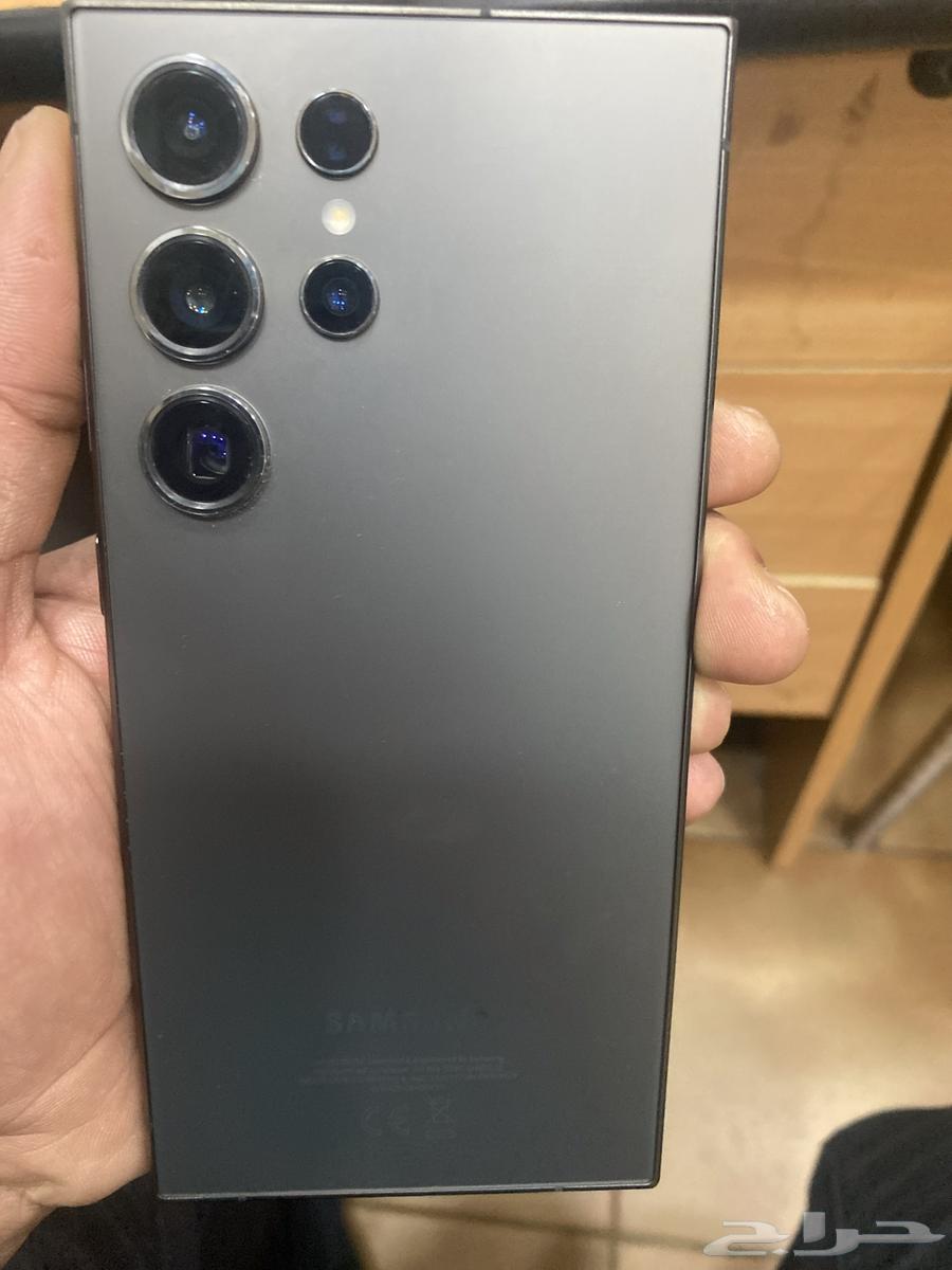 فلامنجو بارك63184461554435112