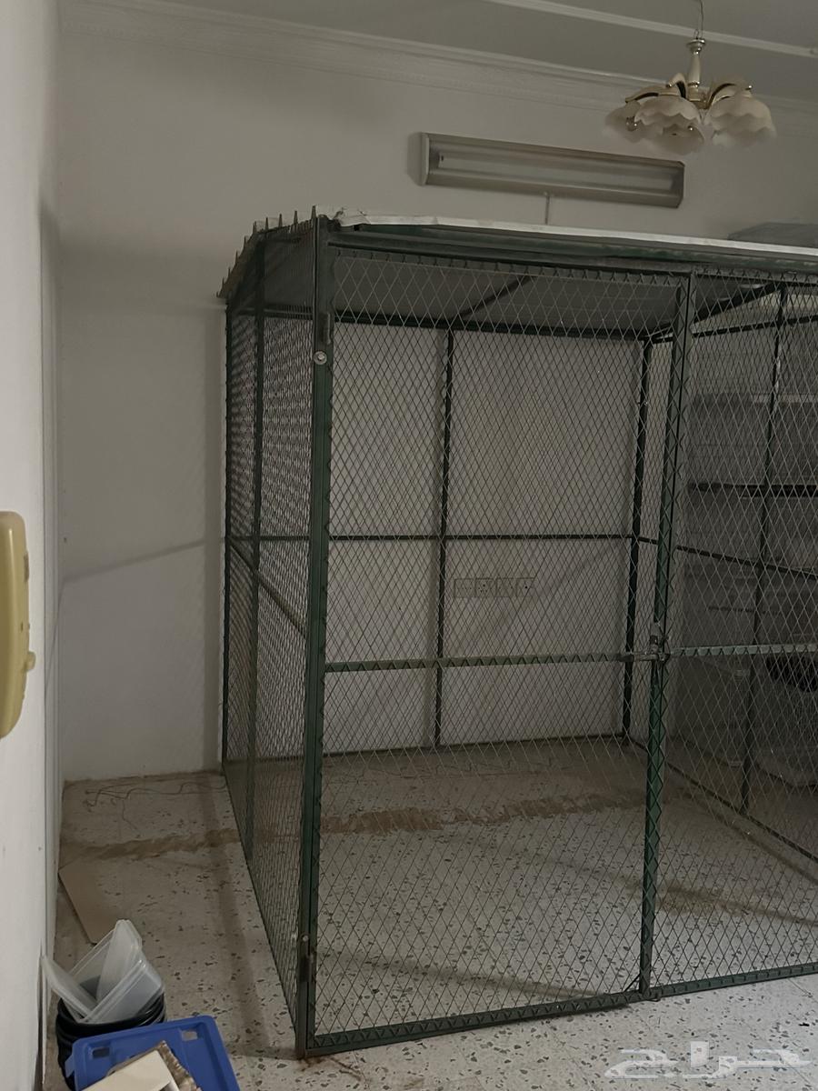 مطير عشه لطيور63186503581953113