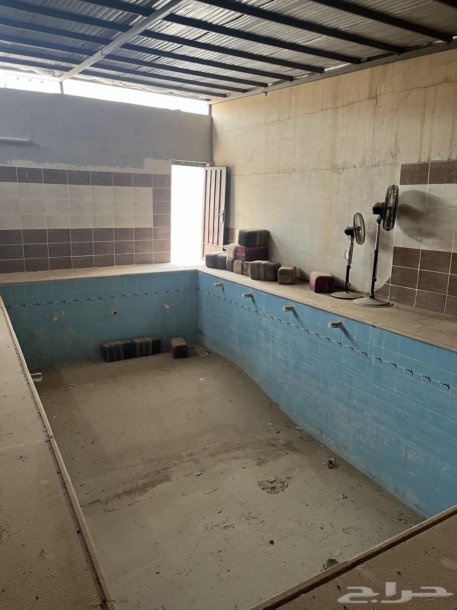 Free rental break in exchange for renovation costs62884382297091114