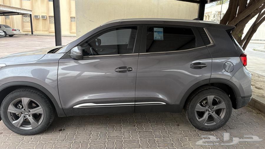 Sherry Tegu 4 in agency condition63279580339201112