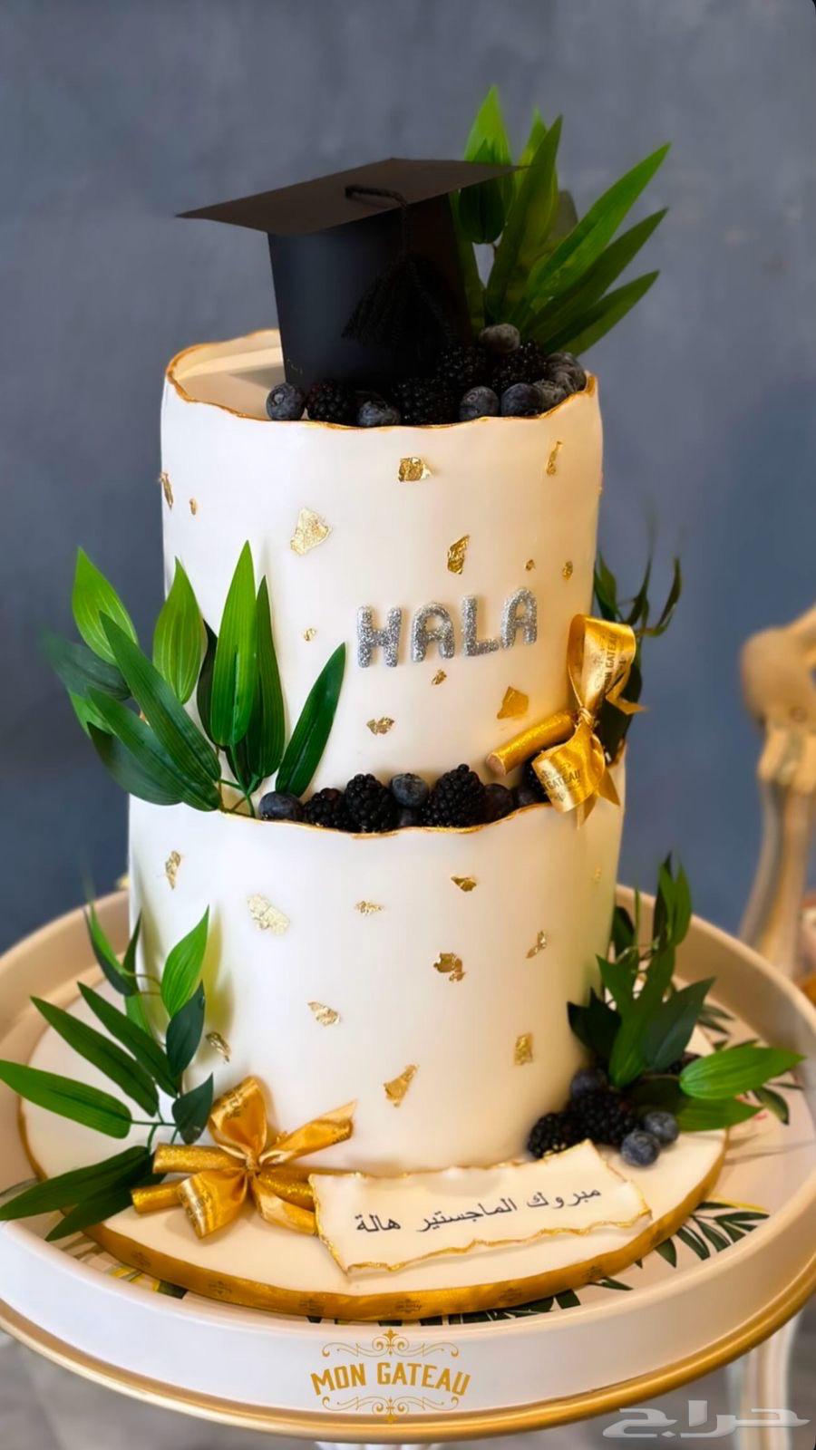 3D cakes63184967438978111