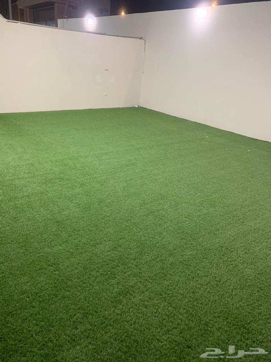 Youth Rest Area for Annual Rent62884391112323114