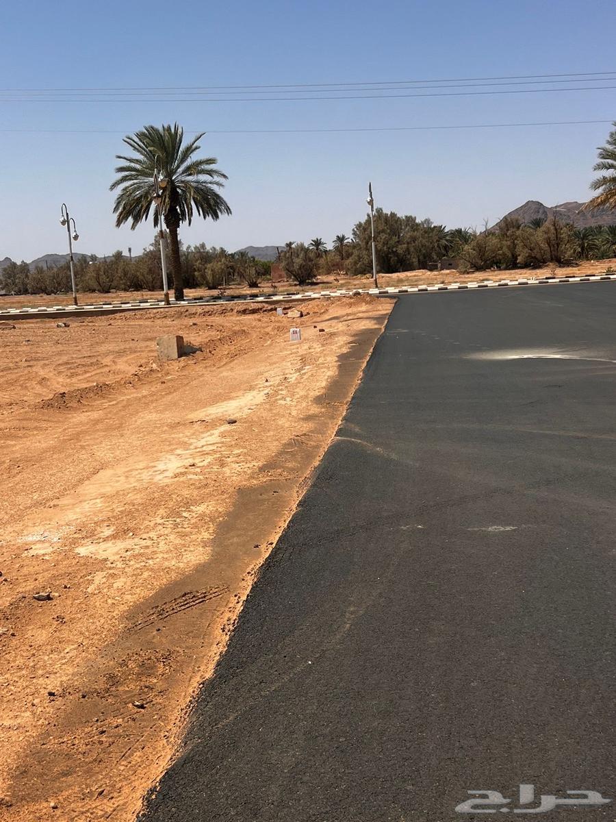Qurtuba District, Al-Rawda City Plan Lands62884392369538113