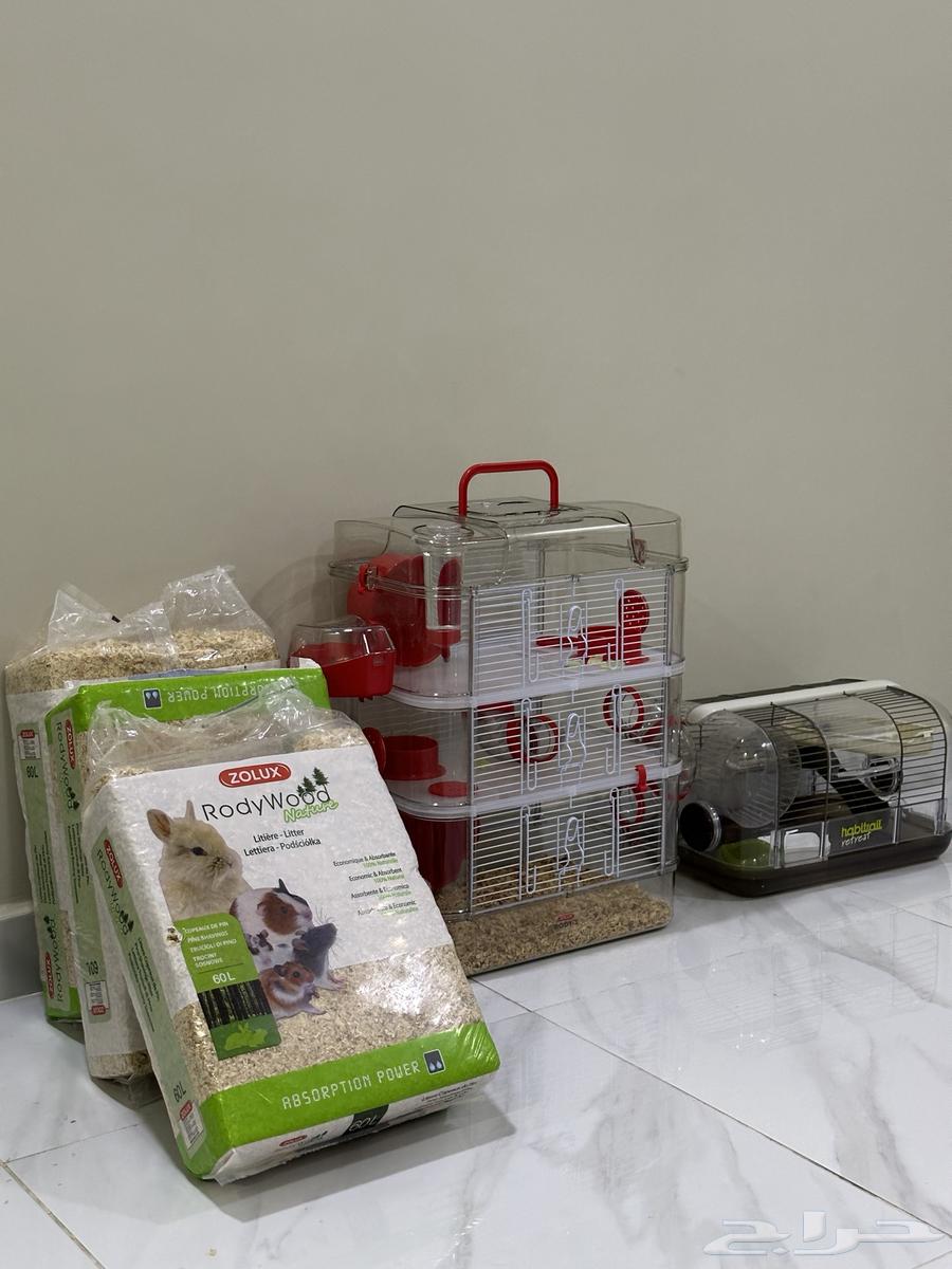 2 white hamsters, small cage, 3-level cage, 3 bags of wood shavings631829749802261112