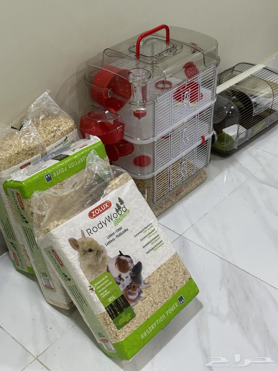 2 white hamsters, small cage, 3-level cage, 3 bags of wood shavings63182974980226111