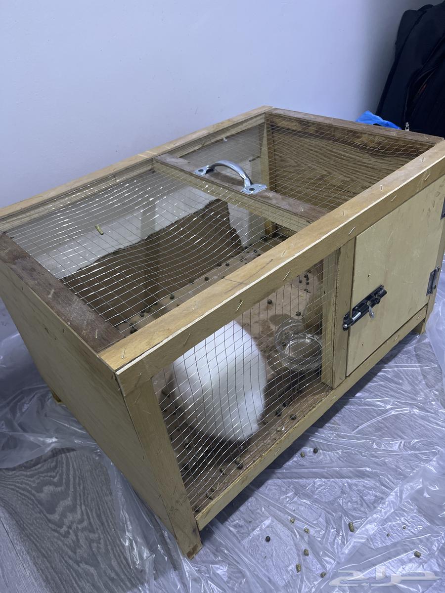Rabbits for sale63181018830979114