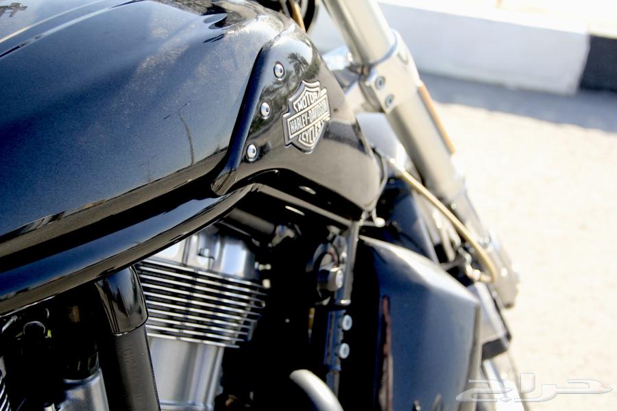 Harley - in the road - 2015632799922382101119