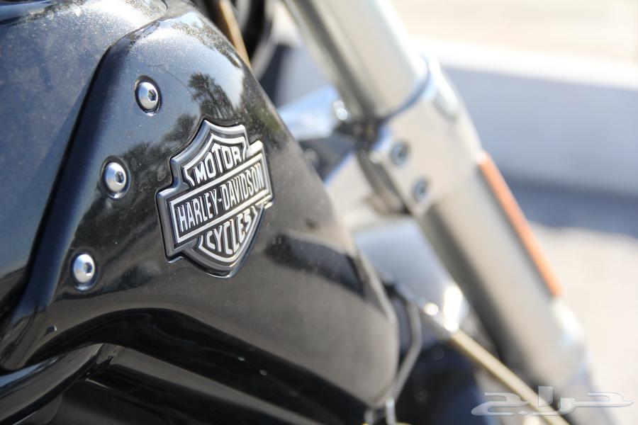 Harley - in the road - 201563279992238210111
