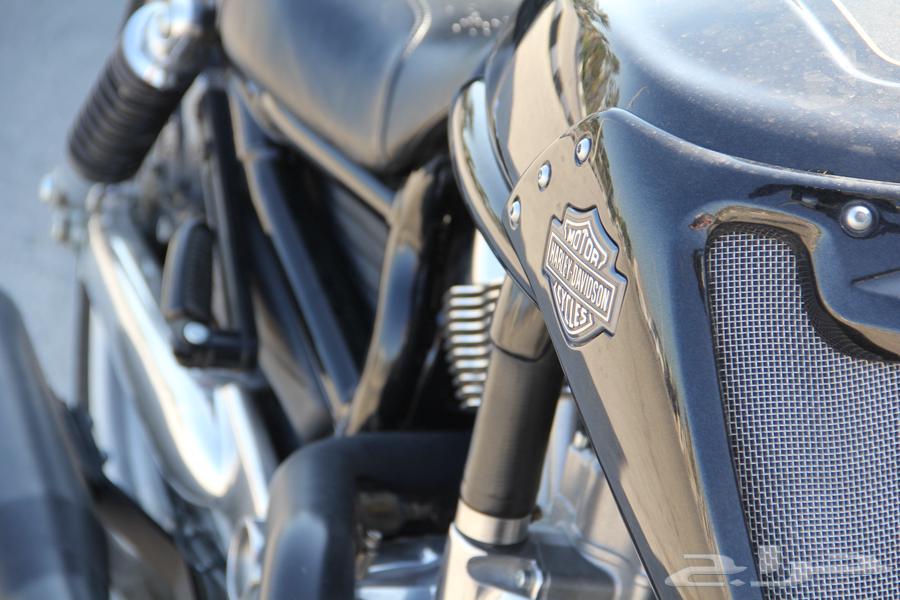 Harley - in the road - 201563279992238210112