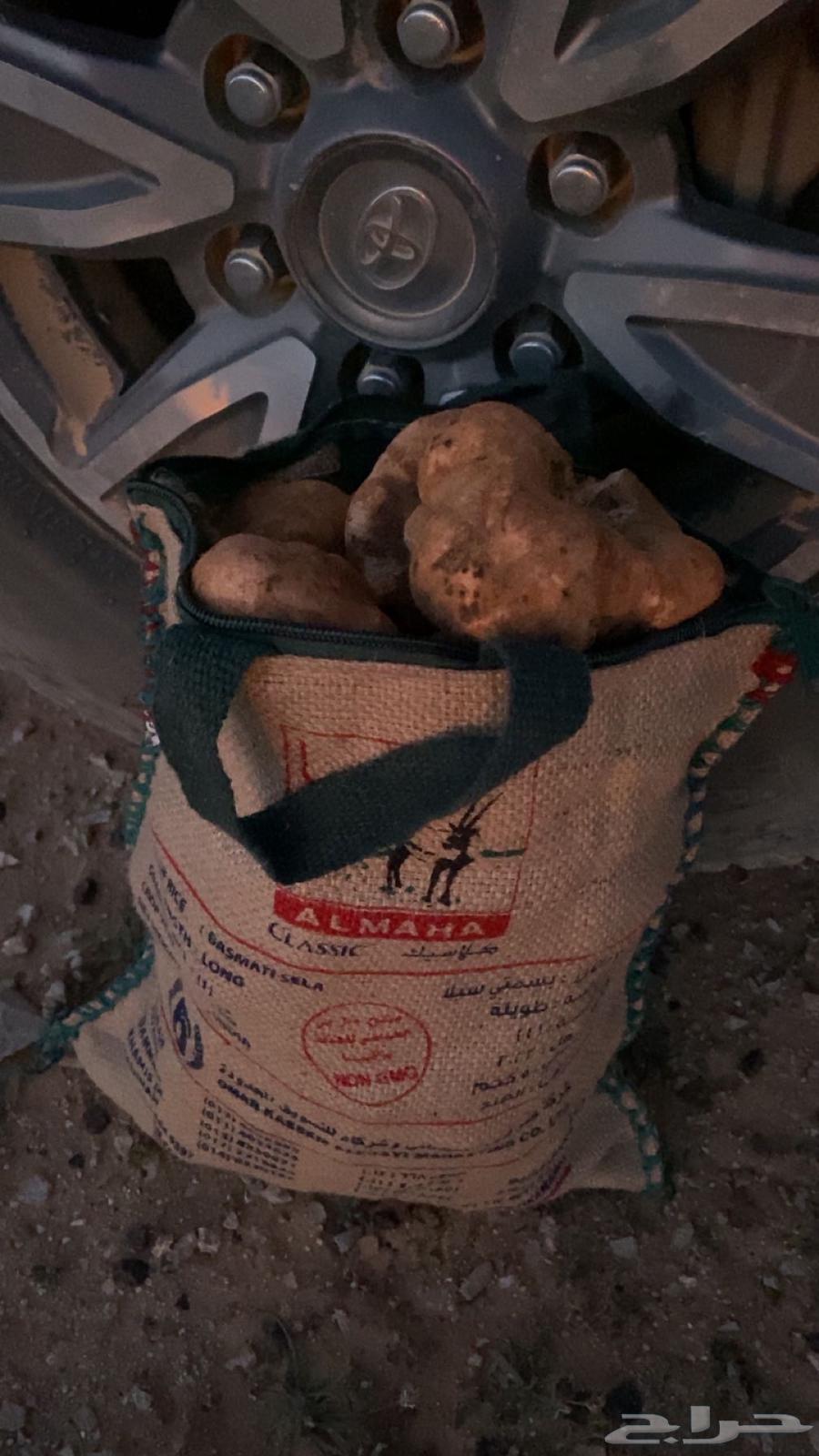 فقع طيب كمى لقط اليوم خياش فل63179599029121111