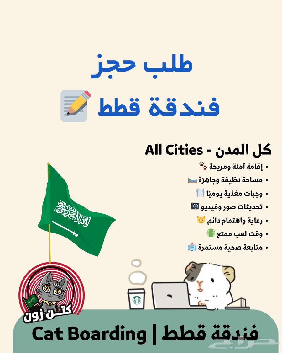A hotel for cats in every city63181049715203112
