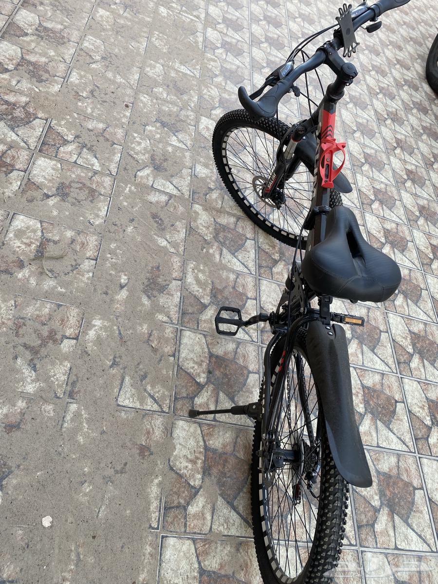 New Cycle 2663179580433411111