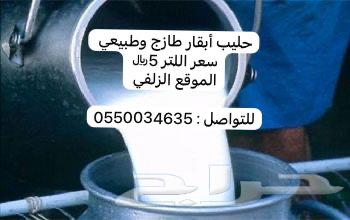 Fresh cow's milk631791003223051121
