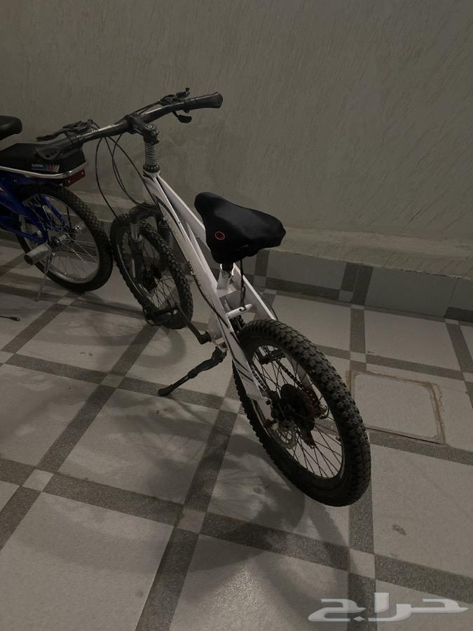 The cycle is good, the disbelief is new, the one behind and the stick are new altogether63180079097473118