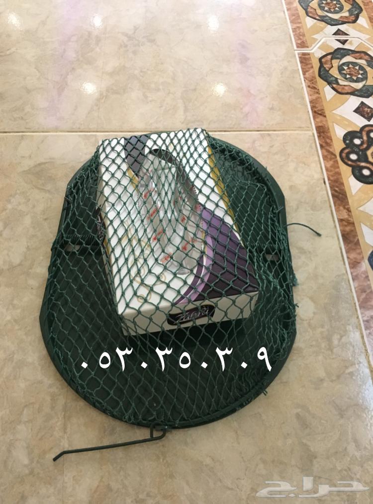 Bird trap for nightingales, doves, and sparrows63180095137795115