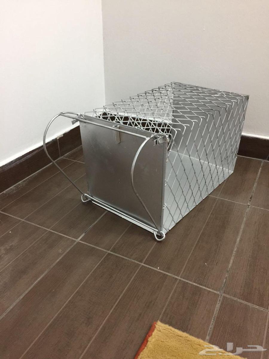 Cat trap63179100164610111