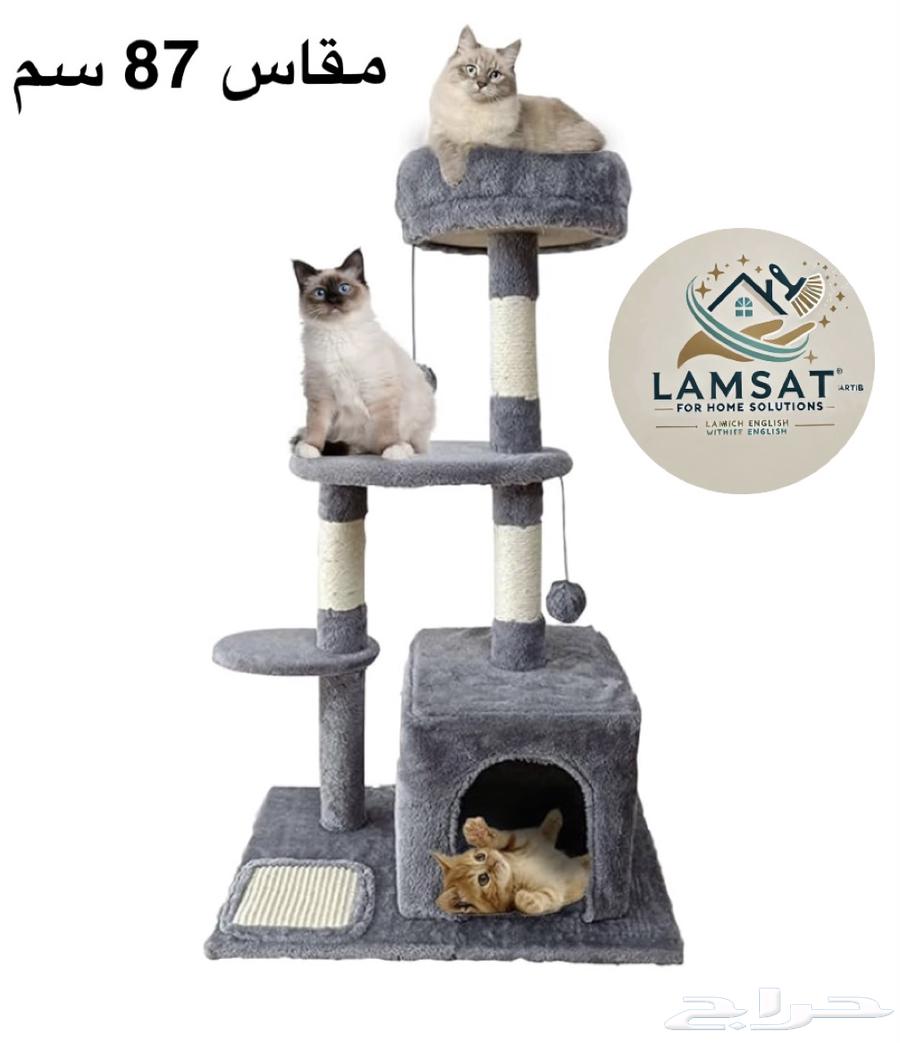 Cat tree, scratching post, and cat house63178665376387113