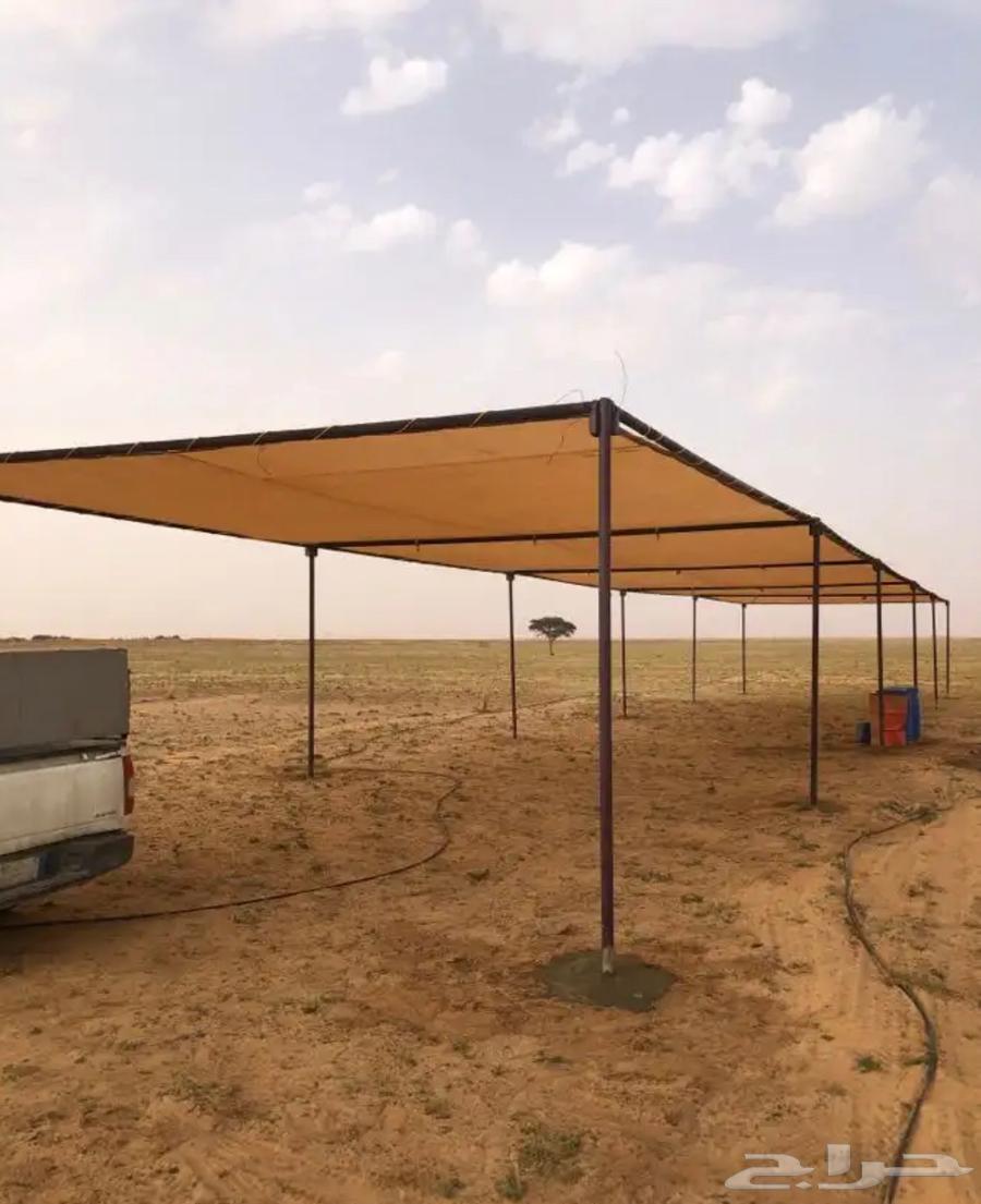 Shbook abl madalat hawad moya63178649061761114