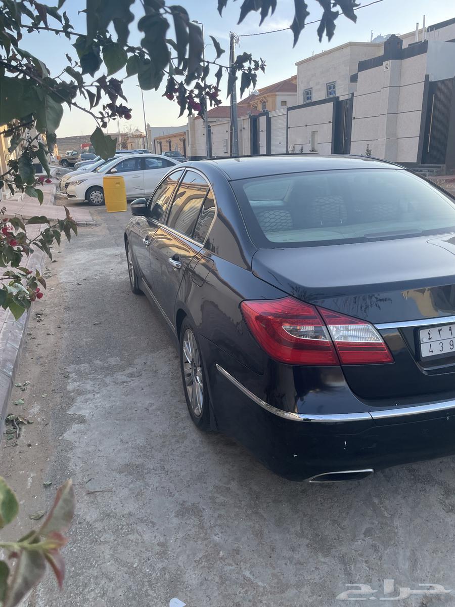 جنيسس 2013 اسود63268851404675113