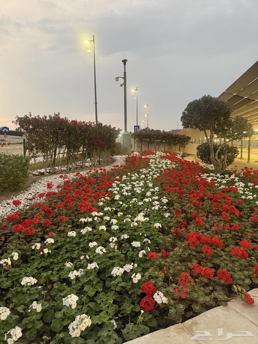 صيانة الحدائق63022674525058112