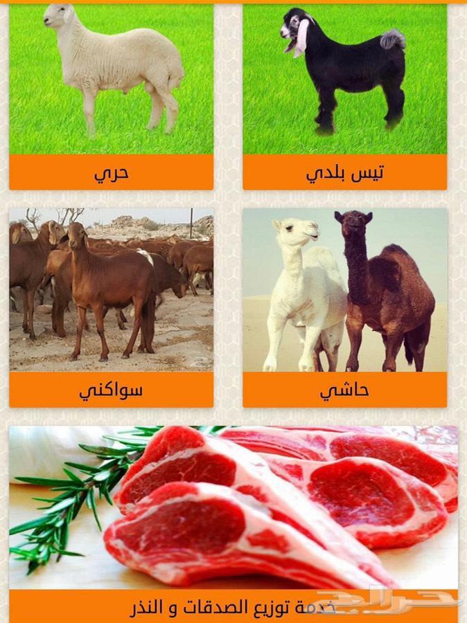 Ahadi Abu Khalid in Riyadh with slaughter and delivery service on Eid morning631786302744351123