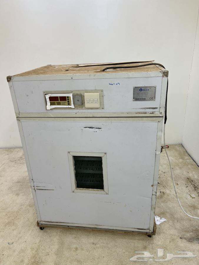 Used Tamaica 1056 incubator for sale63177711715969114