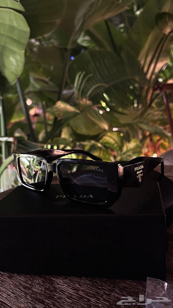 Brad sunglasses63177352195329111