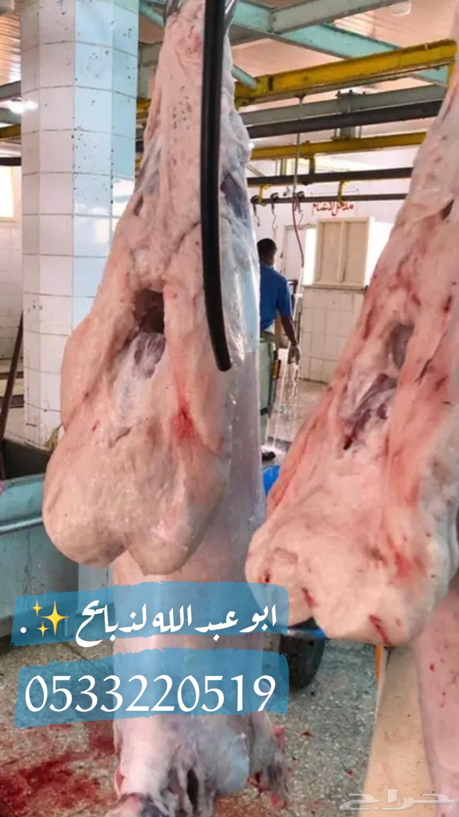 ذبايح نعيمي حري مفطح ثلاجه شامل ذبح توصيل63175931044865114