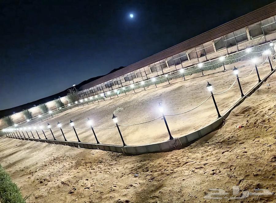 اسطبل سهم الأصايل لإيواء الخيل العربية الأصيلة63175457020802111
