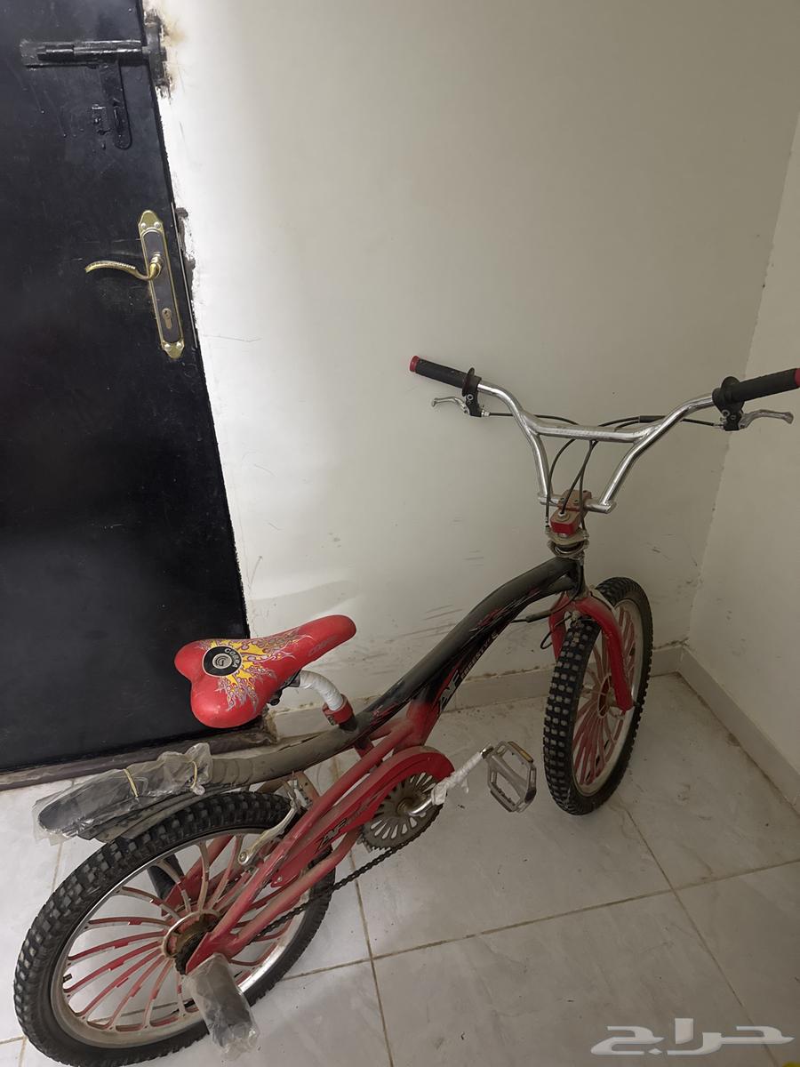 سيكل كوبرا نضيف و حالته مرره كويسه63175012360323111