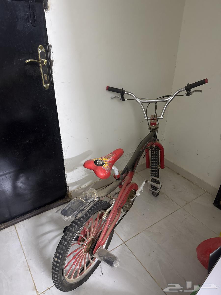سيكل كوبرا نضيف و حالته مرره كويسه631750123603231118