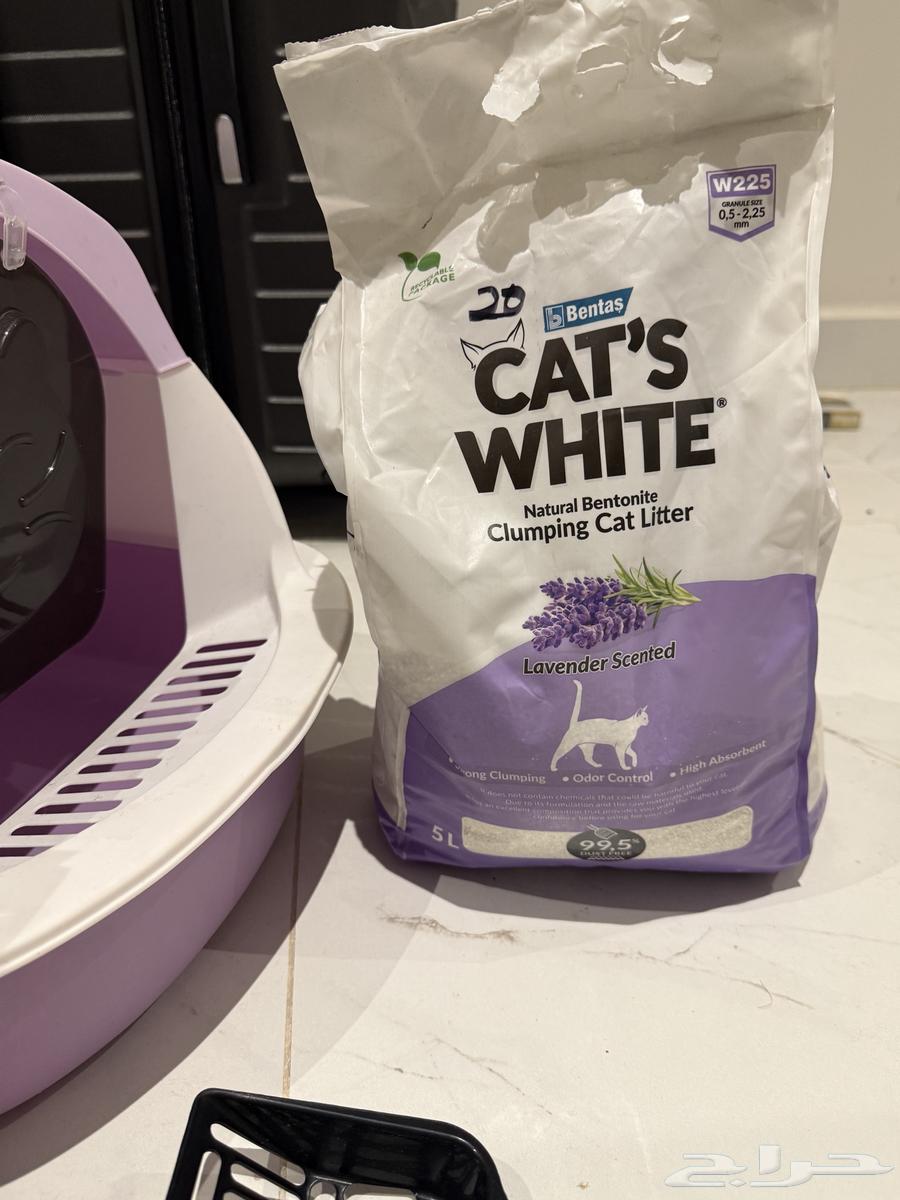 Cat house with belongings63175916581122114