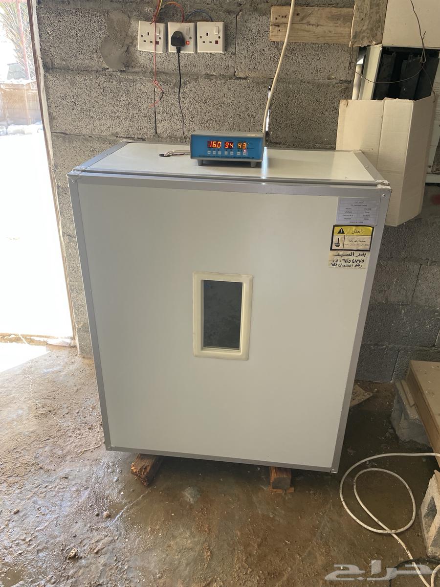 Egg incubator 500 pieces with the help of God63176886711809112